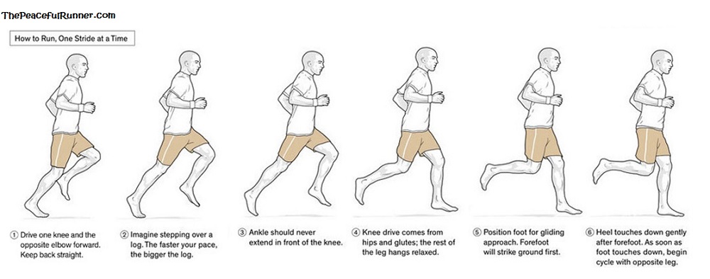 Barefoot & Minimalist Running: Learn the Basics