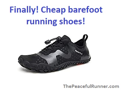 best barefoot running shoes reddit