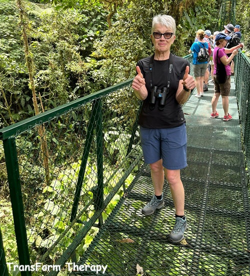 Fear of heights no more Fear of heights success