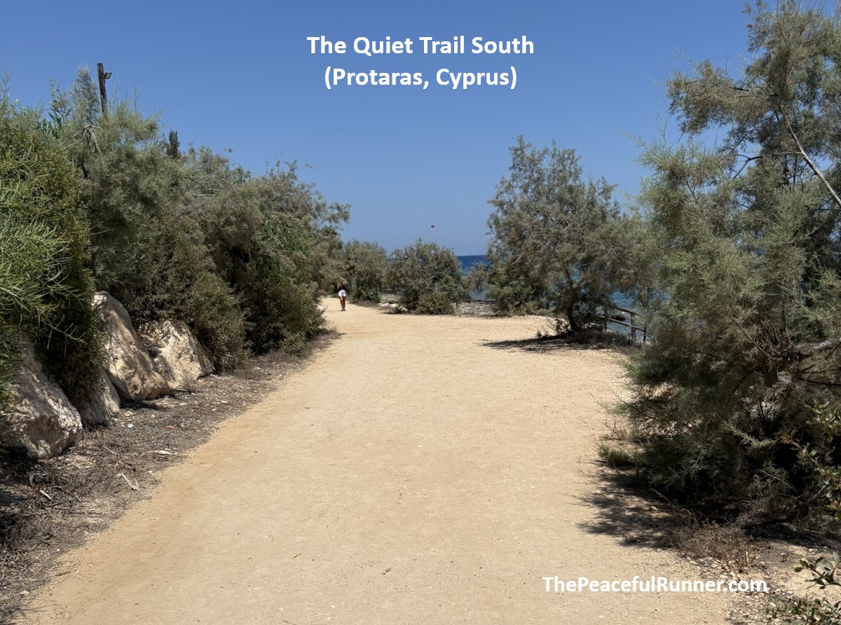 Wide sandy track between tamarisk trees on the quiet coastal trail towards Green Bay
