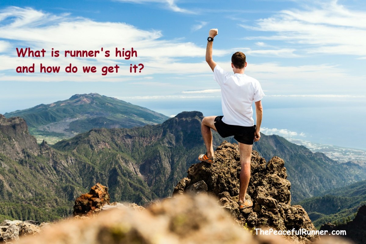 Male athlete on top of mountain with hand in the air